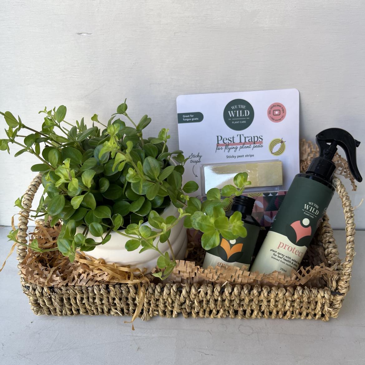 Plant Mumma Hamper