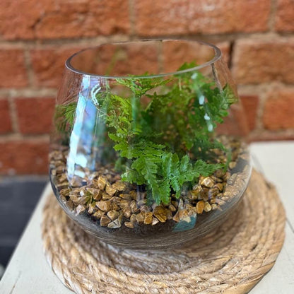 Terrarium